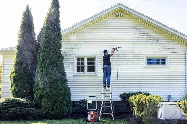 Best Fence Cleaning and Maintenance in Mount Airy, GA