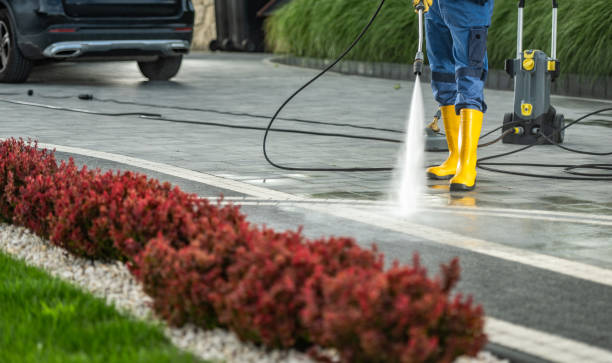 Best Vinyl Siding Pressure Washing in Mount Airy, GA